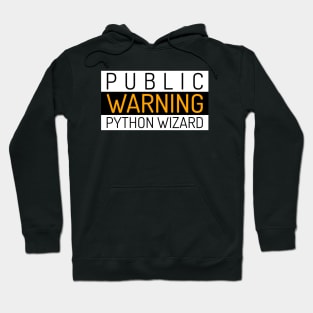 Public Warning - Python Wizard - Programmer / Coder Hoodie